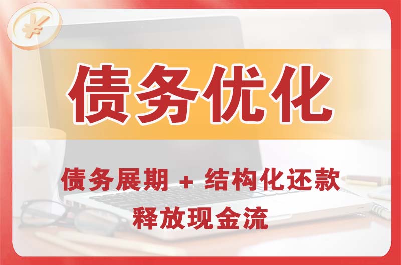 卧龙债务优化