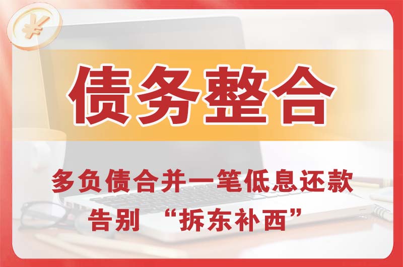 卧龙债务整合