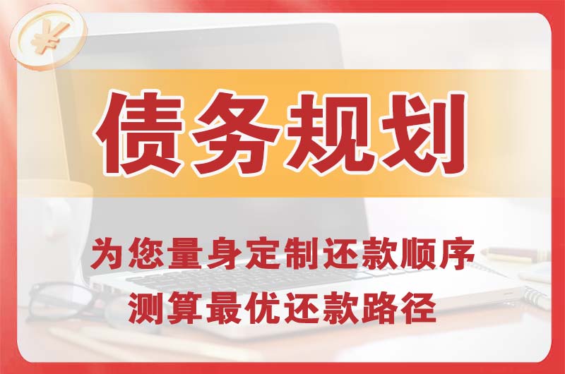 卧龙债务规划
